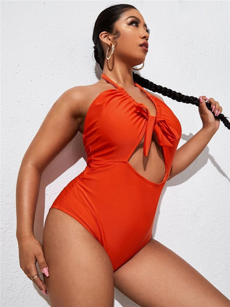 
                      
                        Plus Size Swimsuit One Piece Swimwear
                      
                    